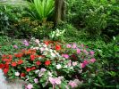 Filename=52.jpg
Filesize=275KB
Dimensions=600x450
Date added=Apr 17, 2005 52.jpg