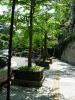 DSCN0276.JPG