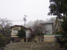 P1010025u.jpg