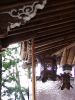 P1010073su.jpg