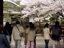 P1010095su~0.jpg