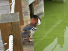 Filename=cj84.jpg
Filesize=132KB
Dimensions=800x600
Date added=Jan 03, 2012 cj84.jpg