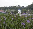 daxi01.jpg