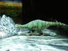 dino04.jpg