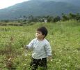 Filename=fy34.jpg
Filesize=409KB
Dimensions=800x692
Date added=Jan 05, 2009 fy34.jpg