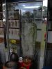 Filename=hl15a.jpg
Filesize=155KB
Dimensions=600x800
Date added=Mar 06, 2012 hl15a.jpg