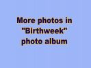 morephotos.jpg