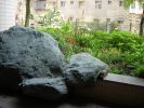 neihu7.jpg