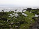 sanzhi05.jpg