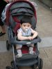 Filename=t01b.jpg
Filesize=241KB
Dimensions=600x800
Date added=Jun 29, 2008 t01b.jpg