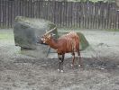 zoo07~0.jpg