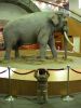 zoo09.jpg