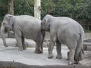 zoo22.jpg
